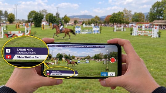 Equiclips
