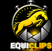 Equiclips